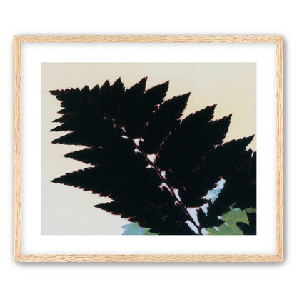 Black leaves on pale ground