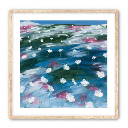 White flowers in windblown hills