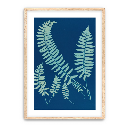 Fern shadows in blue