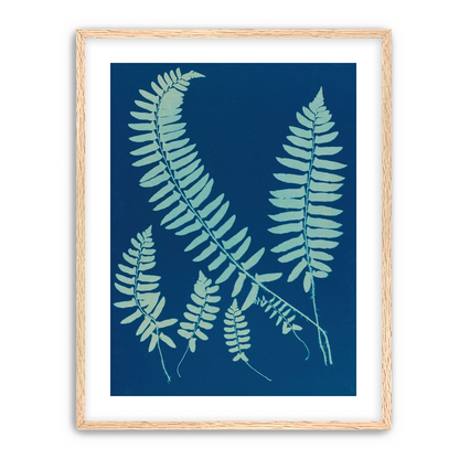 Fern shadows in blue