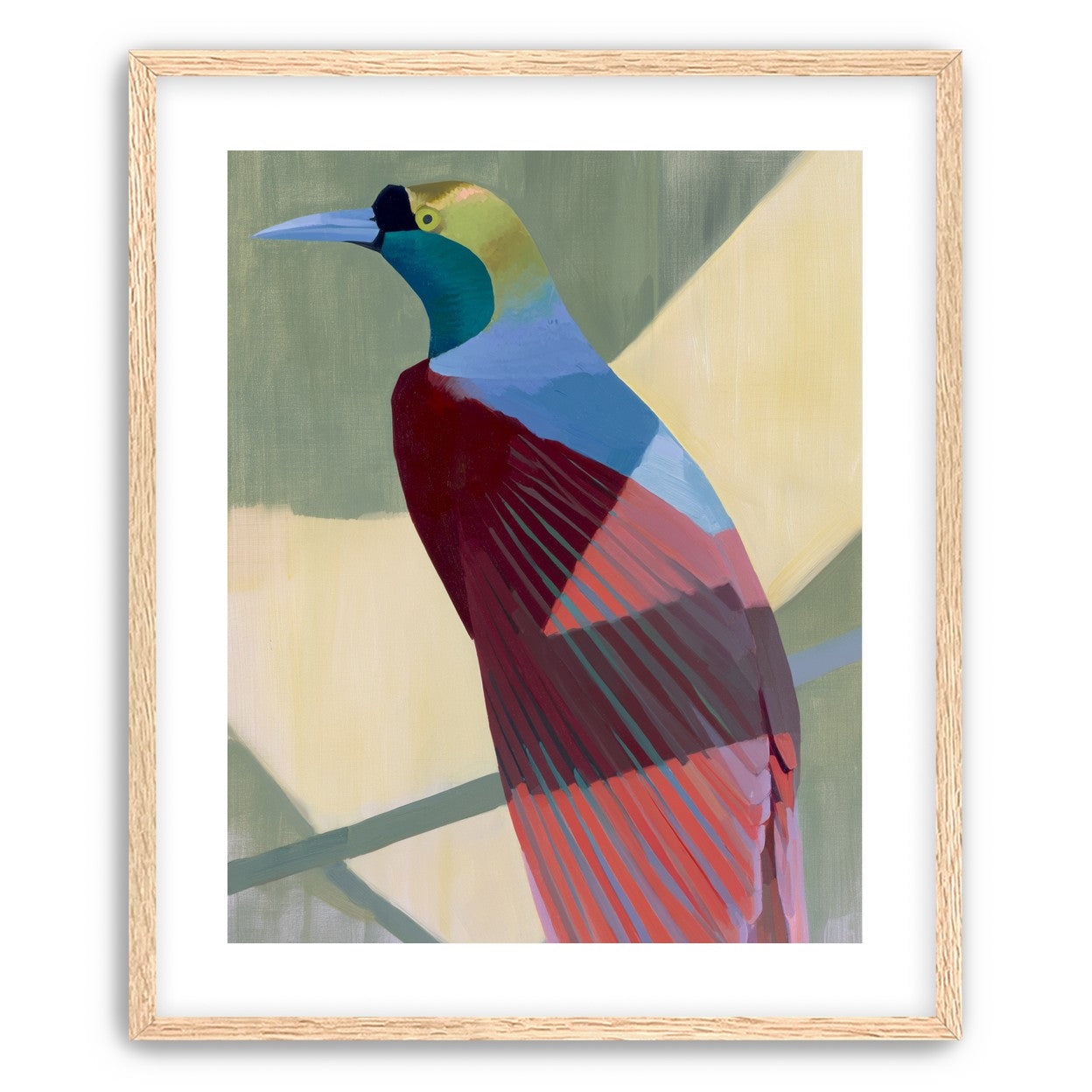 Teal throat on maroon wing