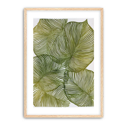 Palm leaves pressed together