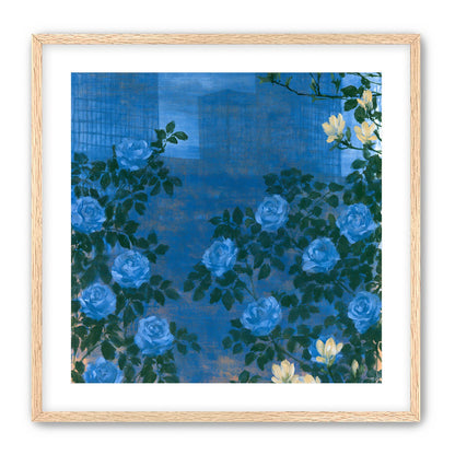 Roses against the blue towers