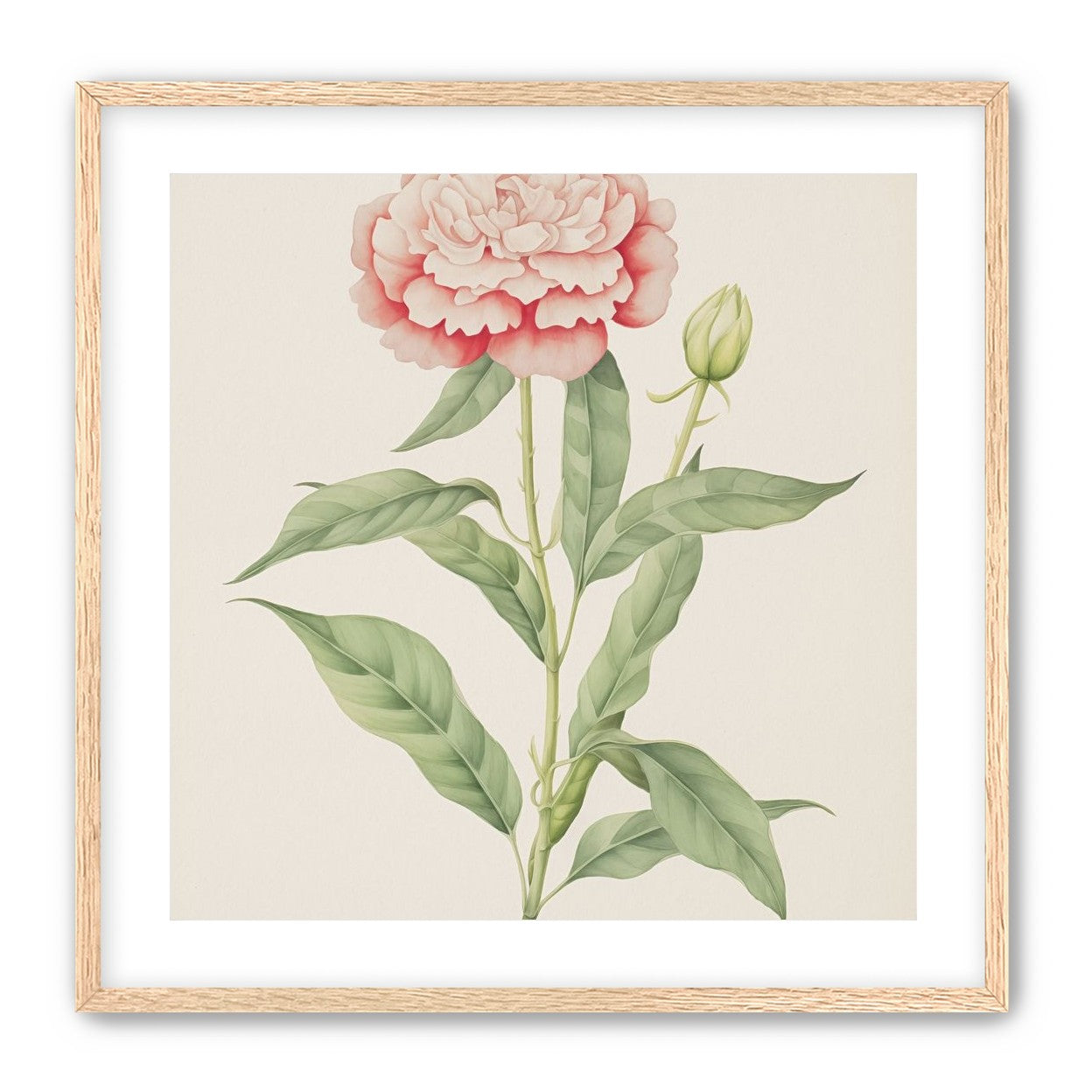 Delicate Blush