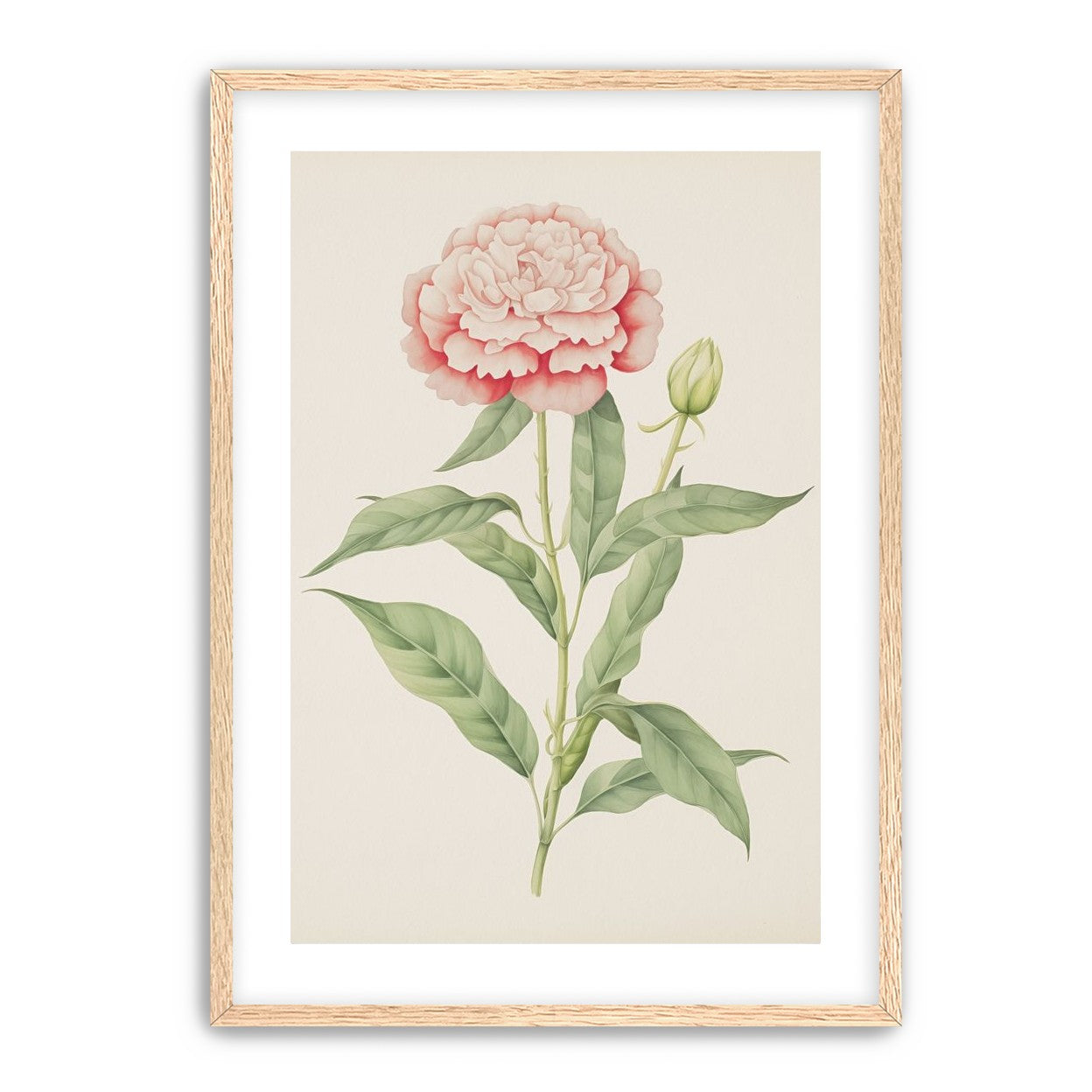 Delicate Blush