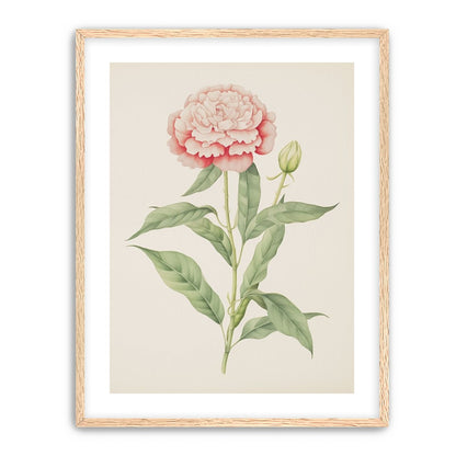 Delicate Blush