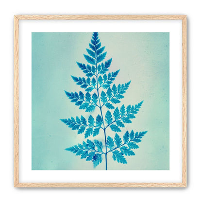 stems and leaves