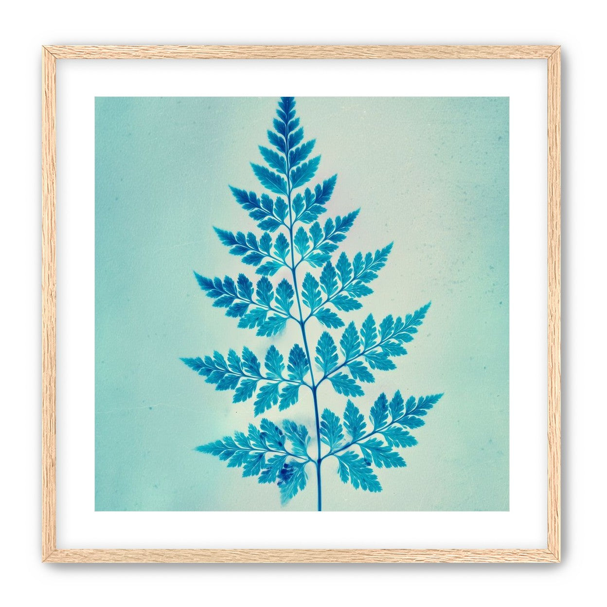 stems and leaves