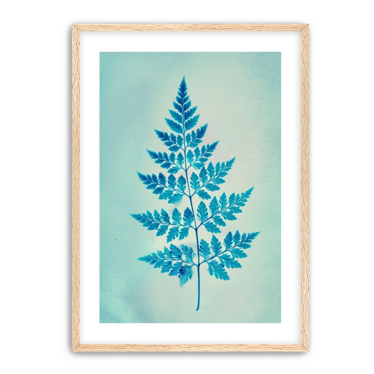 stems and leaves