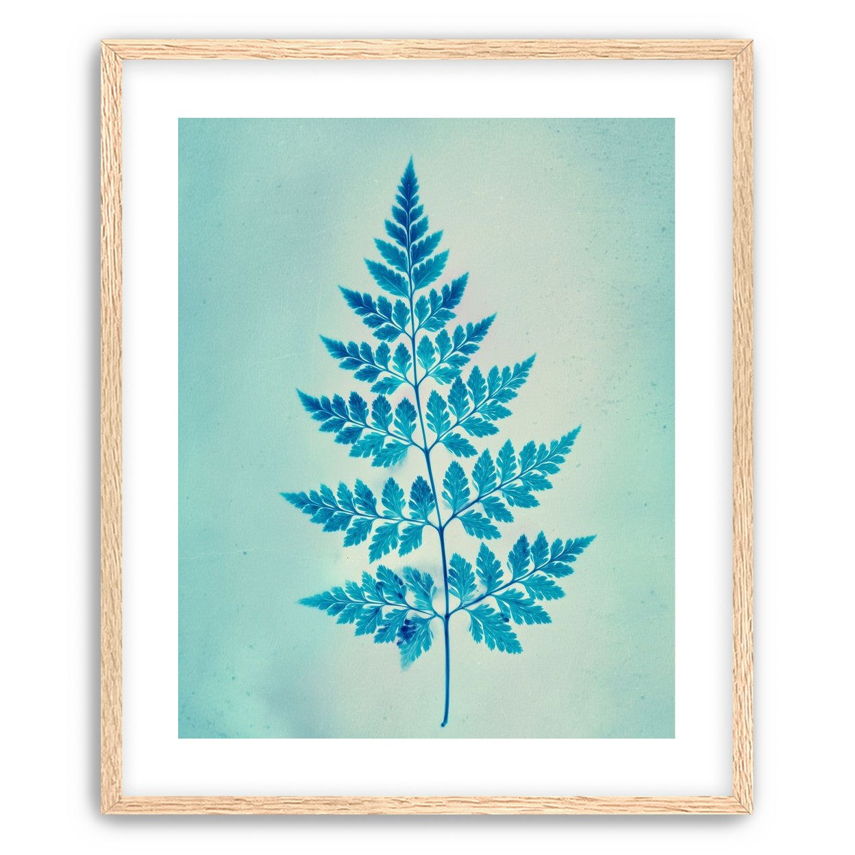 stems and leaves