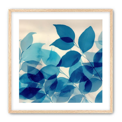 Leaves Spread in Light 