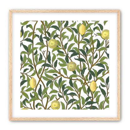 Lemon Garden