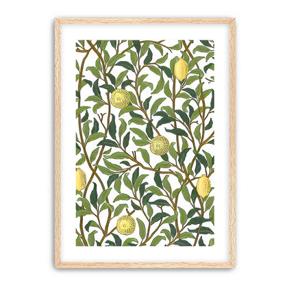Lemon Garden