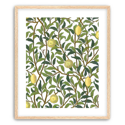 Lemon Garden