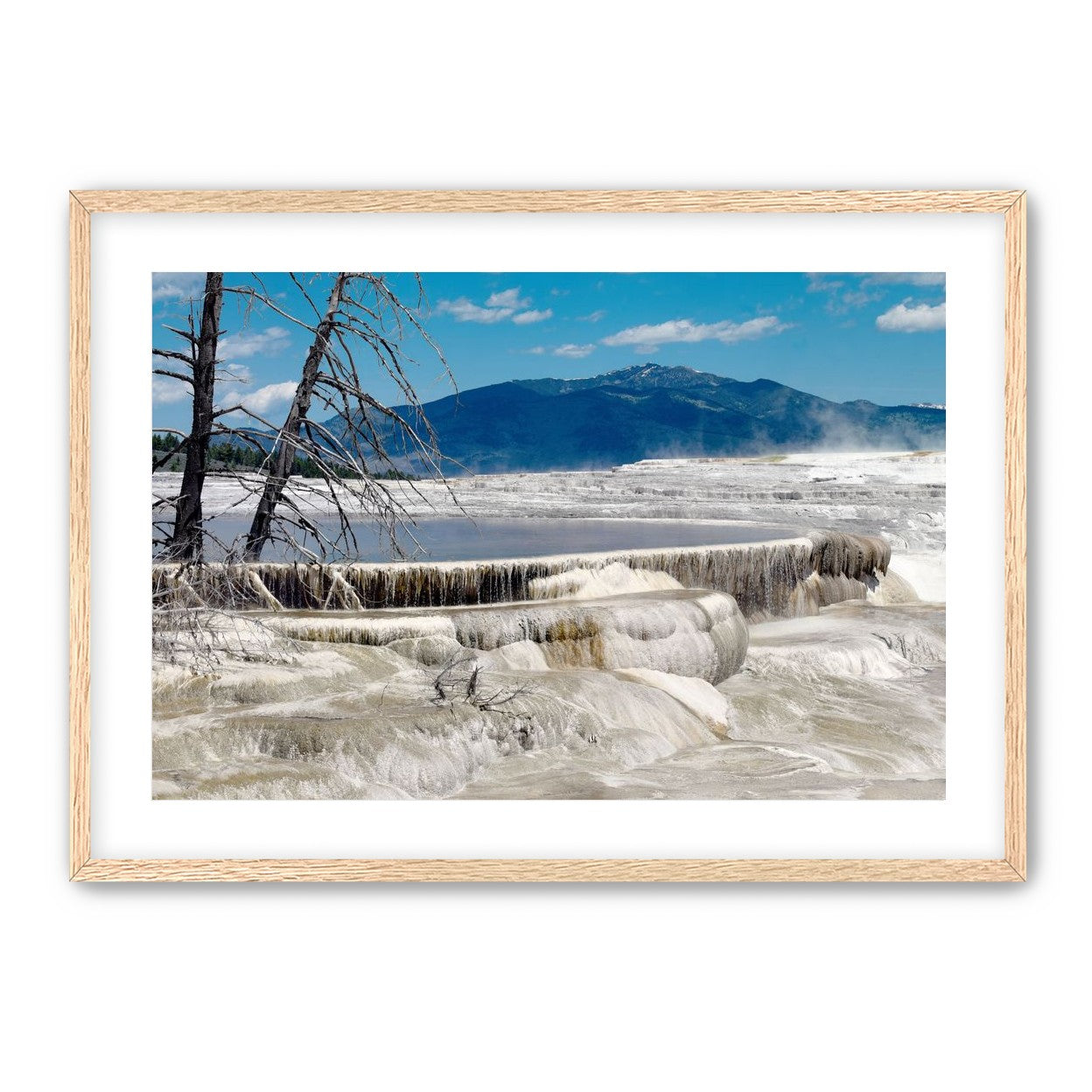 Mammoth Hot Springs