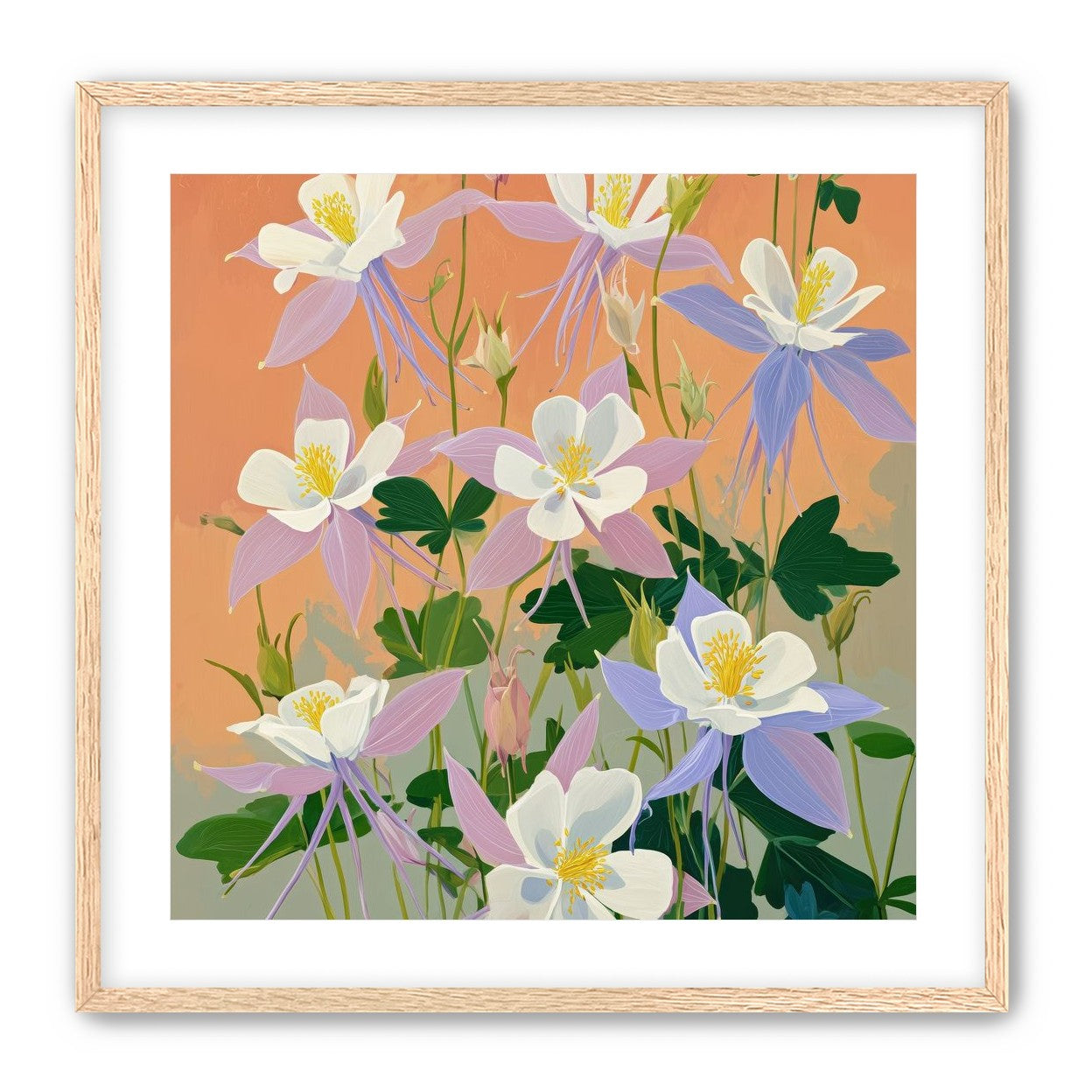 Columbines in Bloom