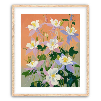 Columbines in Bloom