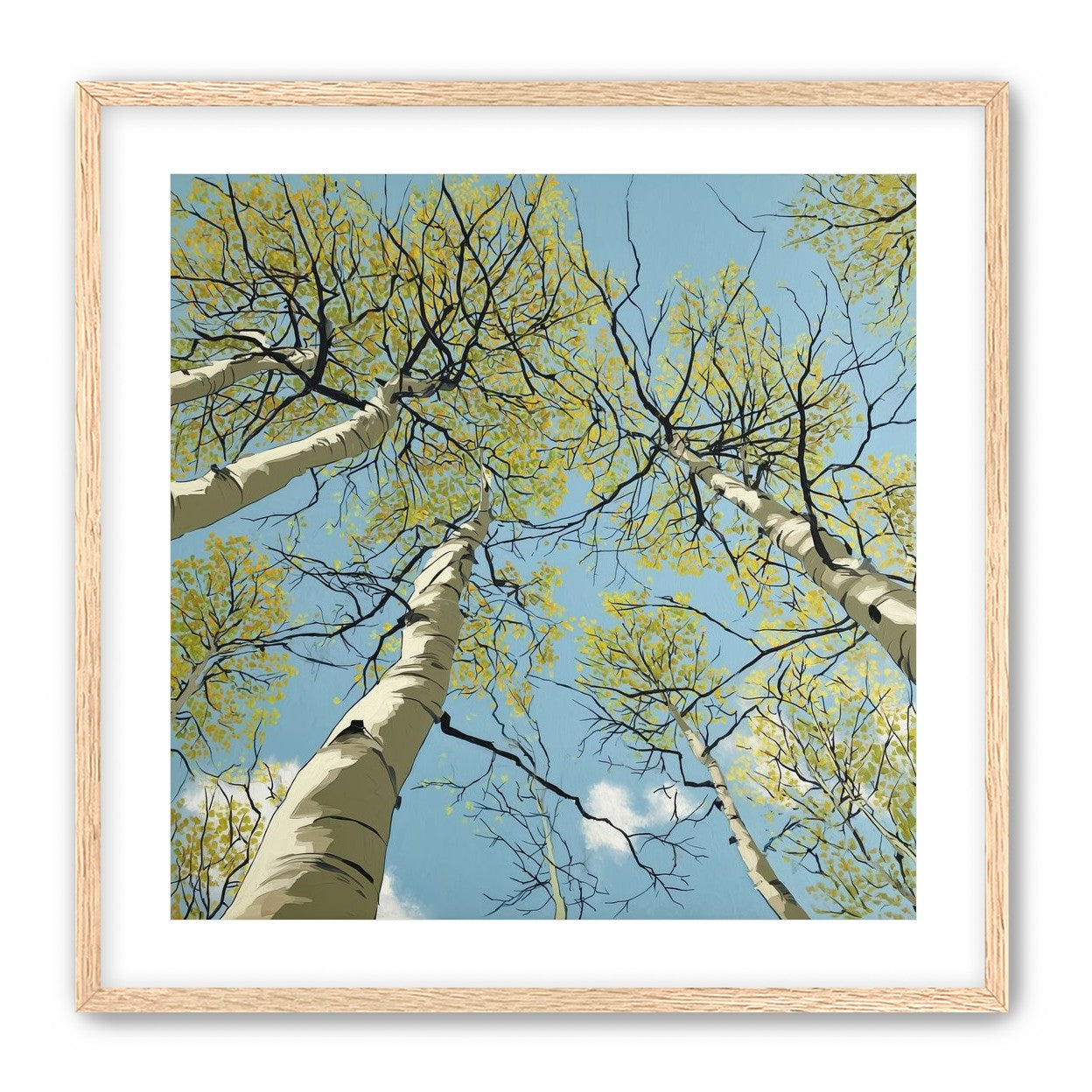 Yellow Leaves Against the Sky