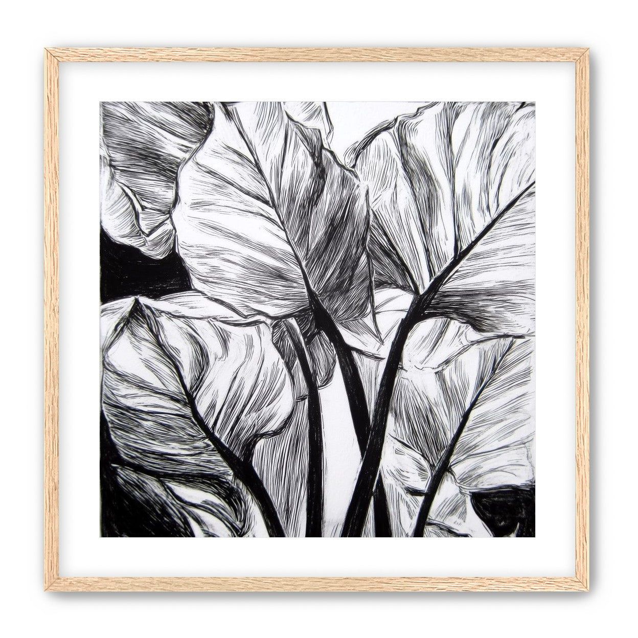 Overlapping Leaves on Dark Ground