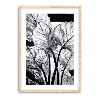 Overlapping Leaves on Dark Ground