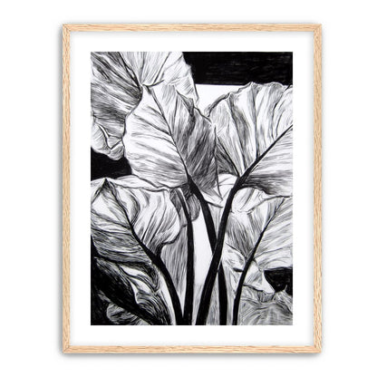 Overlapping Leaves on Dark Ground