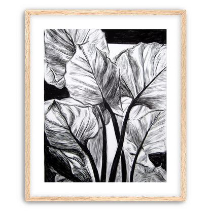 Overlapping Leaves on Dark Ground