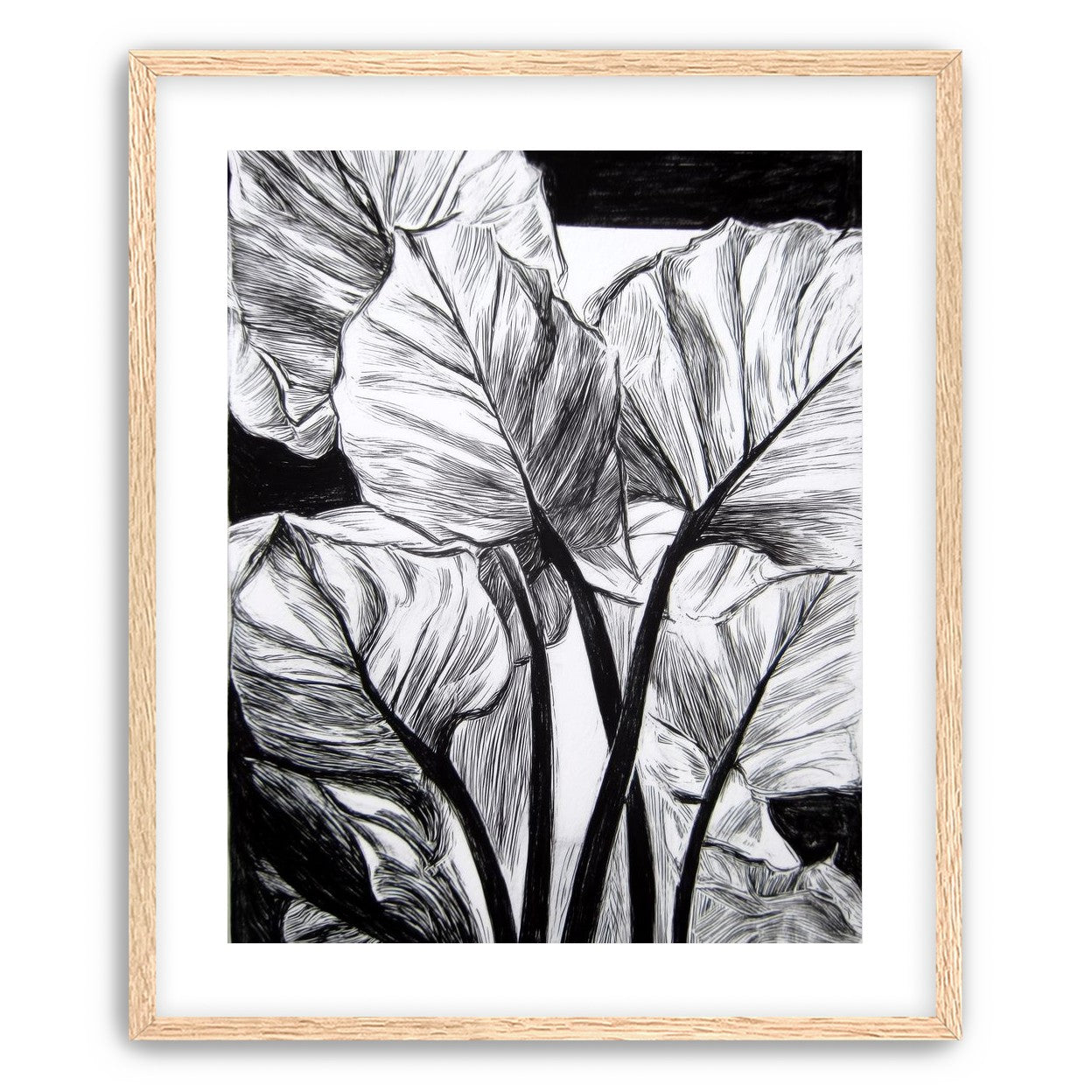 Overlapping Leaves on Dark Ground