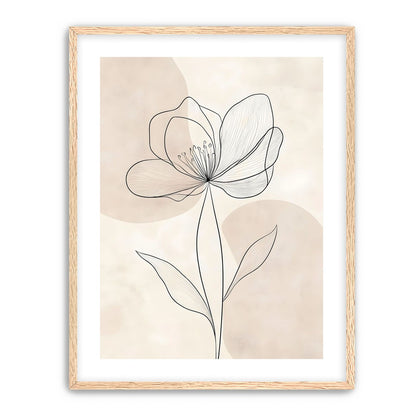 Single Bloom