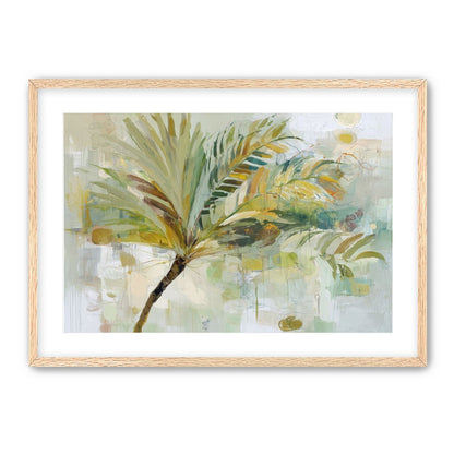 Loose Palm Study
