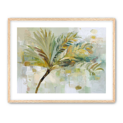 Loose Palm Study