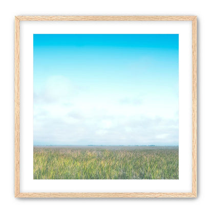 Grasslands