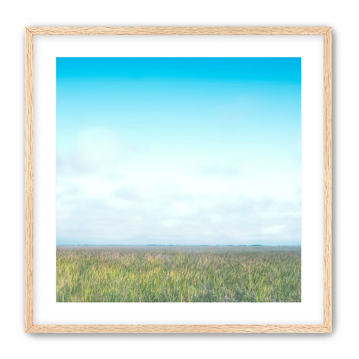 Grasslands