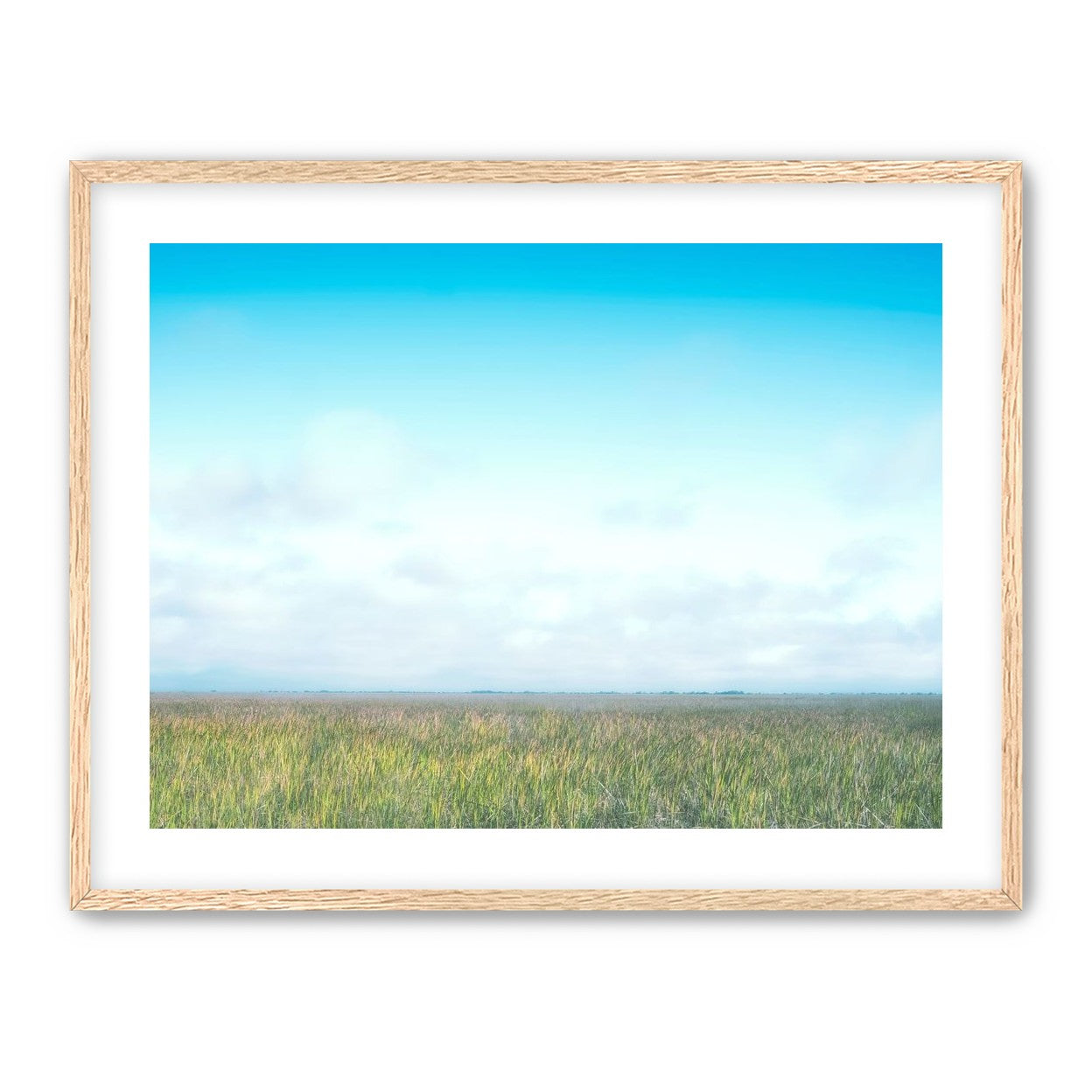 Grasslands