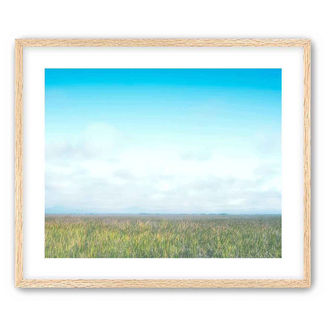 Grasslands