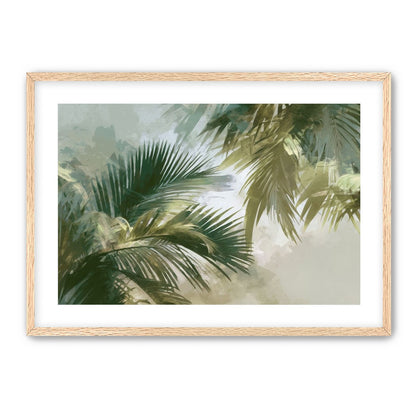Palm Canopy