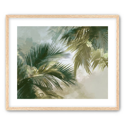 Palm Canopy