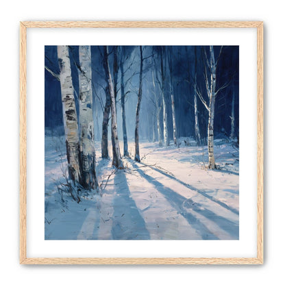 Snow Shadows Between Trunks