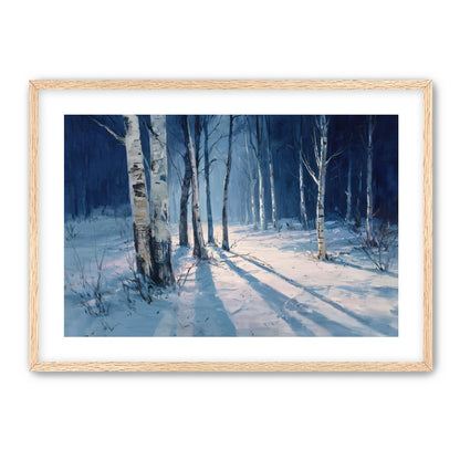 Snow Shadows Between Trunks