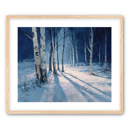 Snow Shadows Between Trunks