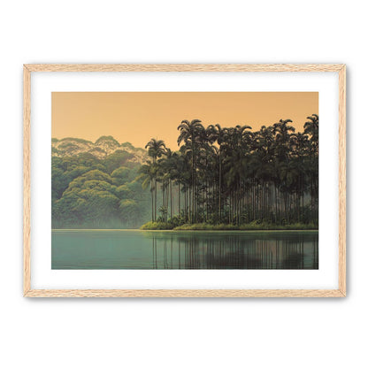 Tall Palms at Water