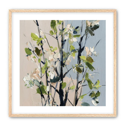 Morning Trees