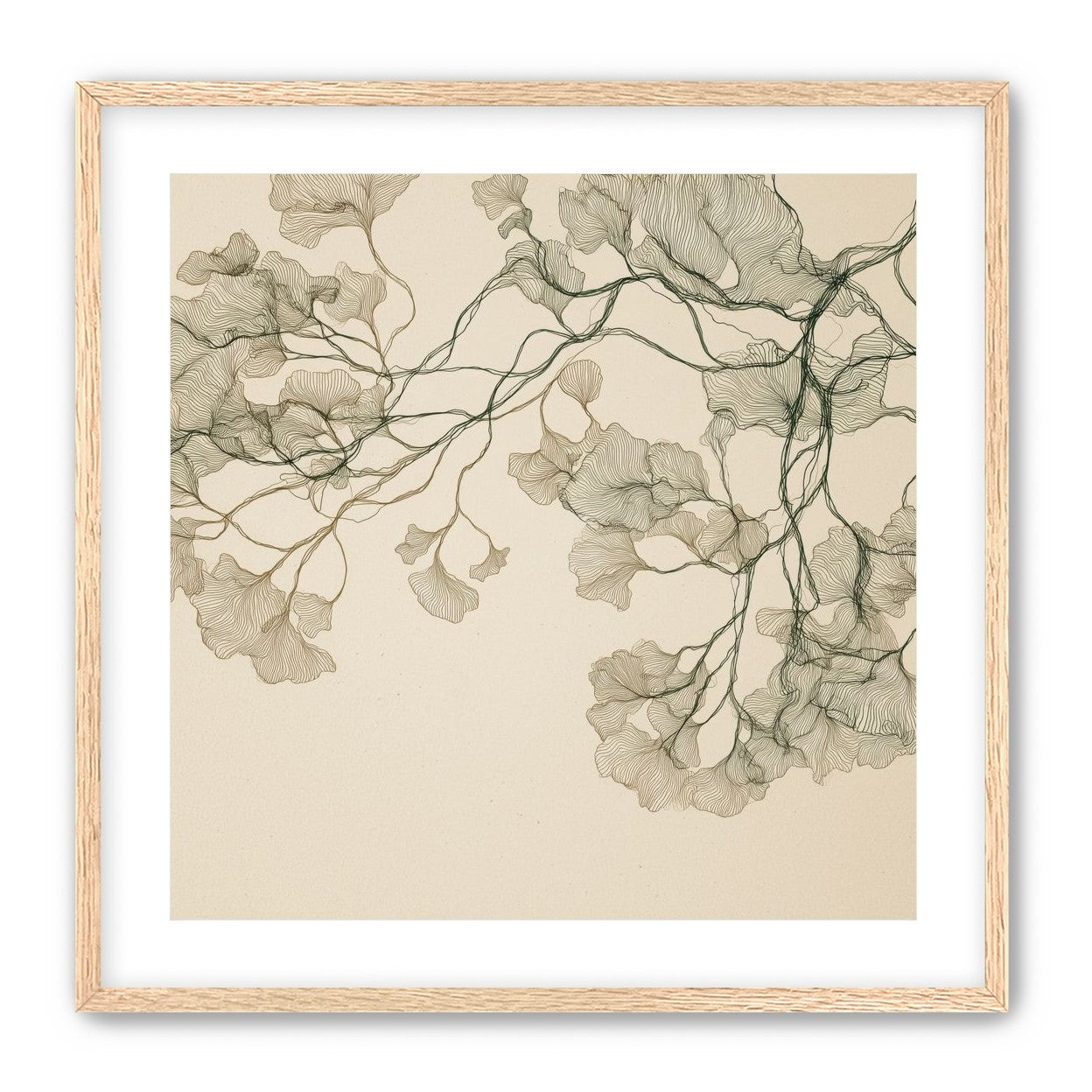 Open Canopies in Ink