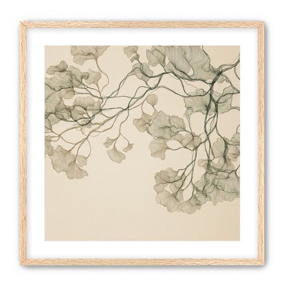 Open Canopies in Ink