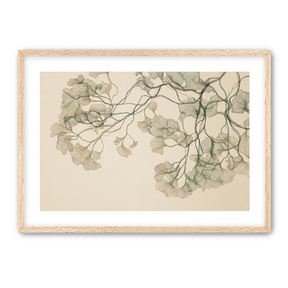 Open Canopies in Ink