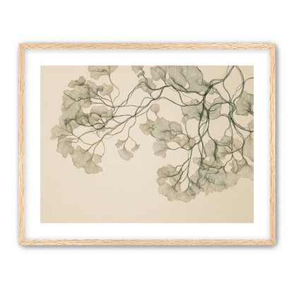 Open Canopies in Ink