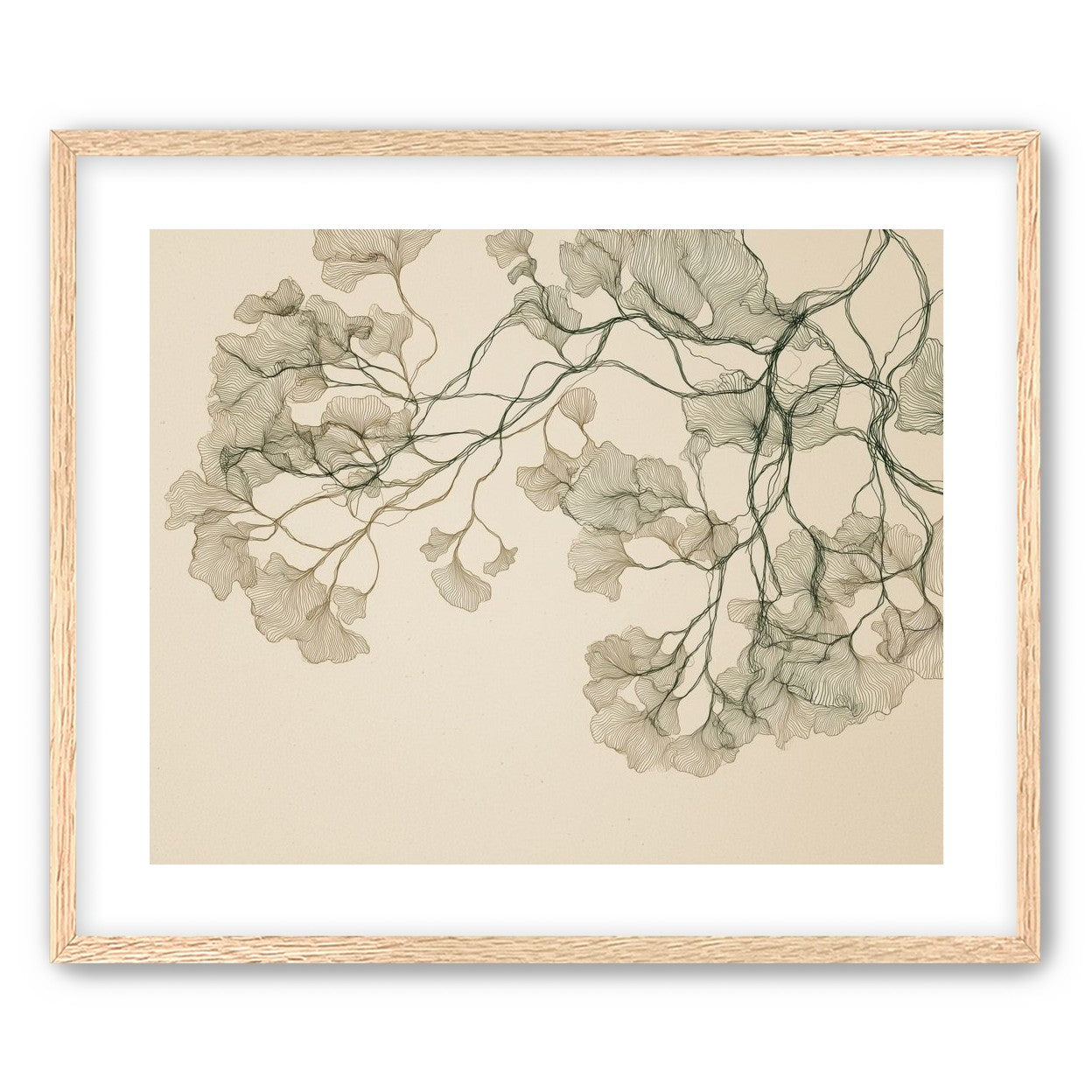 Open Canopies in Ink