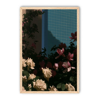 Flowers beneath the tiled wall