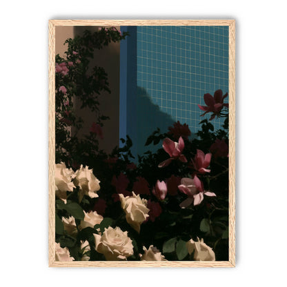Flowers beneath the tiled wall