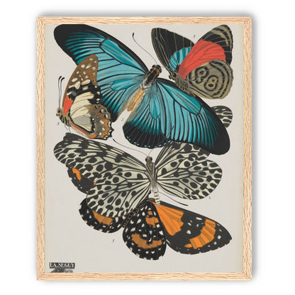 Turquoise wings over orange velvet