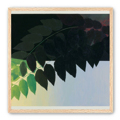 Leaves crossing into shadow